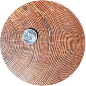 Беседка качель CRUZO Годовые кольца финской сосны